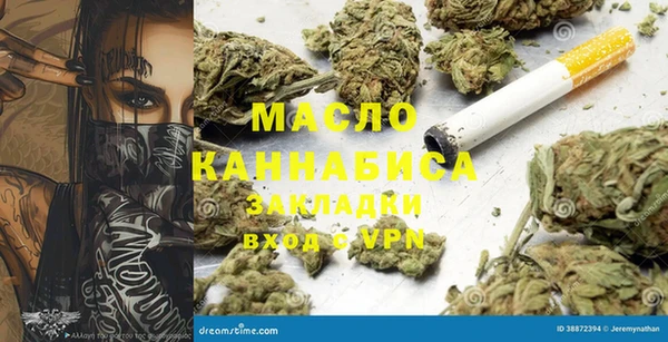 гидра Зеленодольск