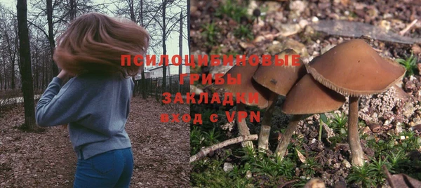 гидра Зеленодольск