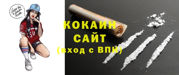 гидра Зеленодольск
