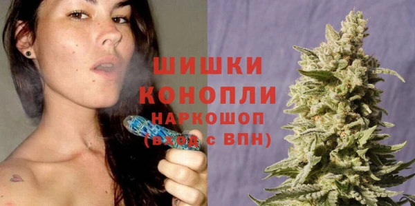 гидра Зеленодольск